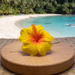 Hibiscus